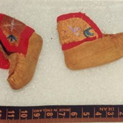 Cover image of Miniature Moccasins